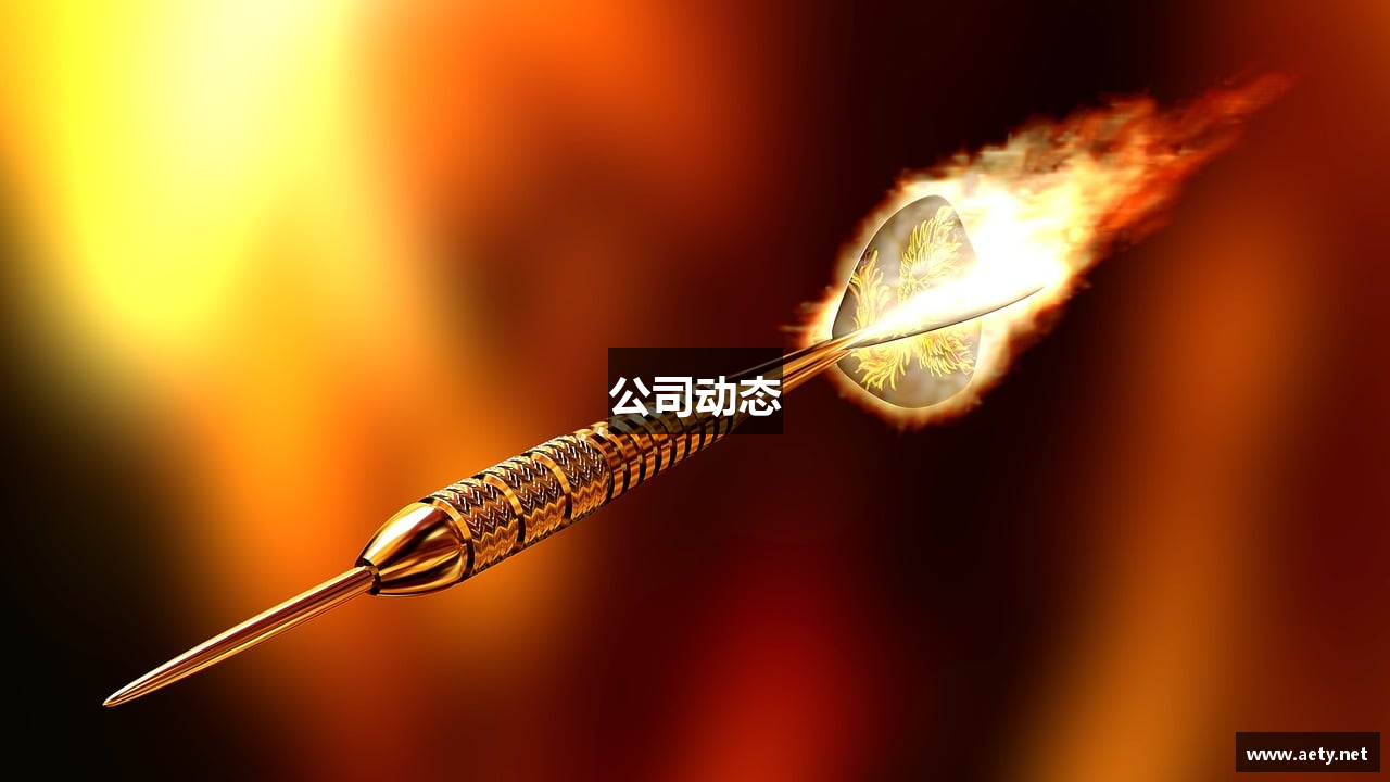 公司动态